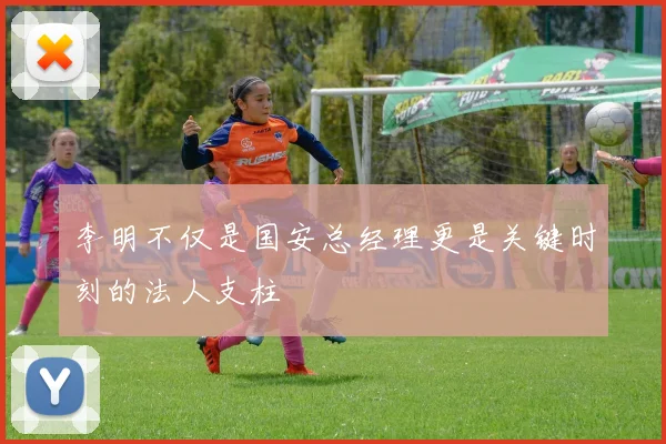 李明不仅是国安总经理更是关键时刻的法人支柱